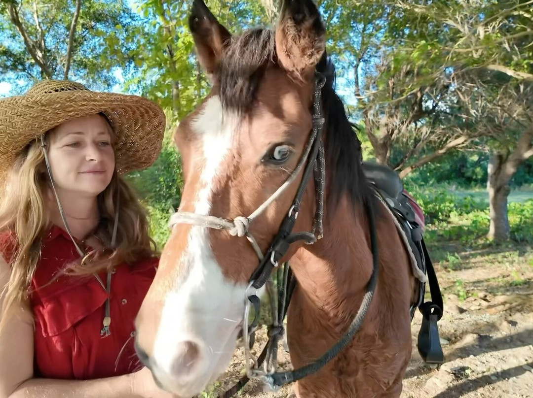 Jurutungo Farm-Florida必去景点