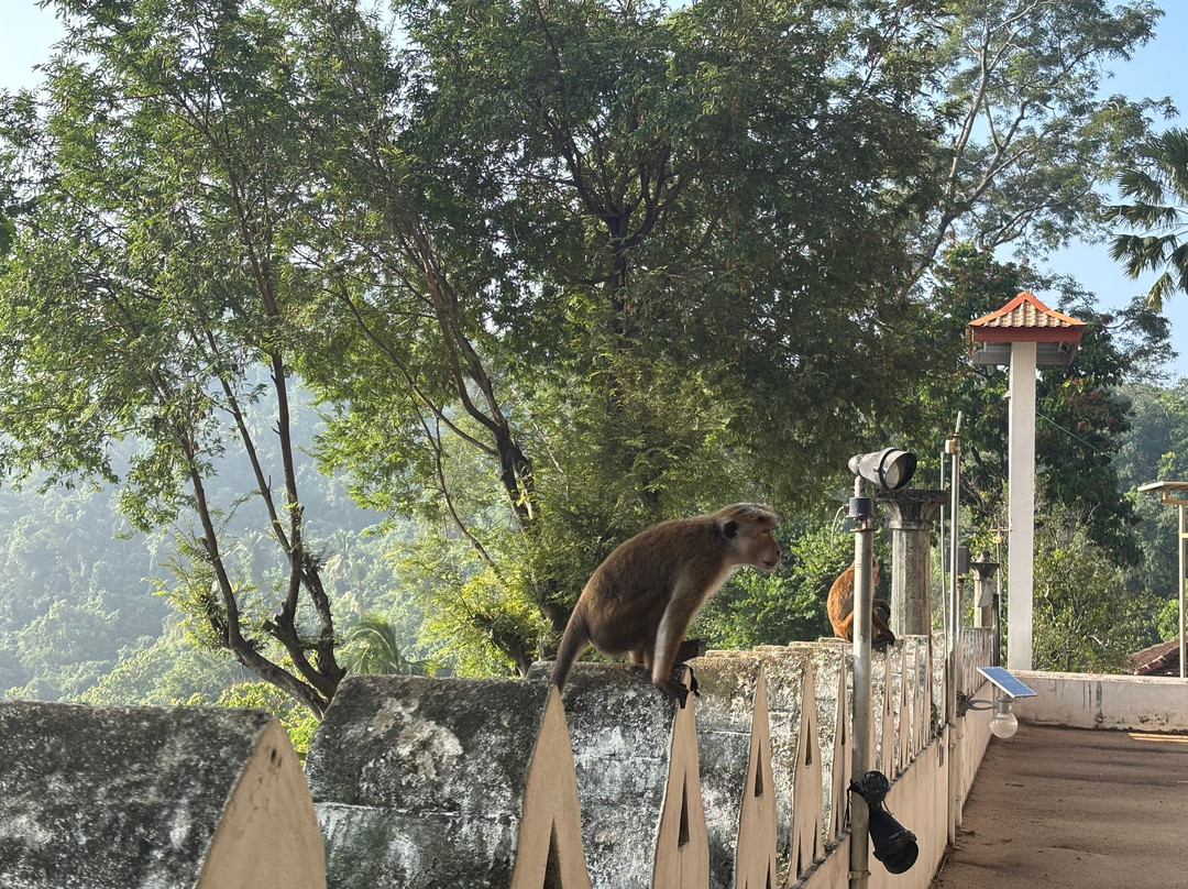 Ridee Viharaya (silver Temple)-Kurunegala必去景点