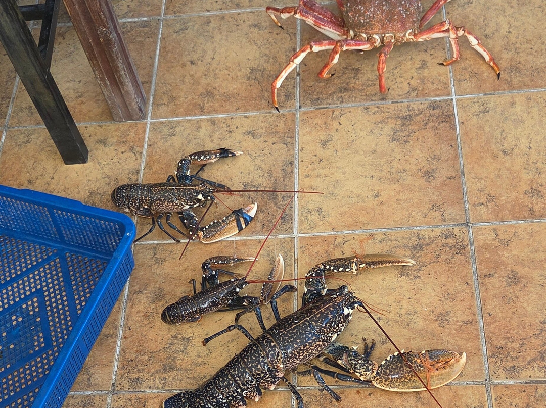 L'Araignee Gourmande主图