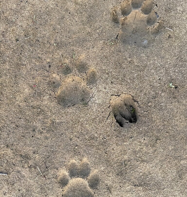 United Jungle Guide Service-奇旺国家公国必去景点