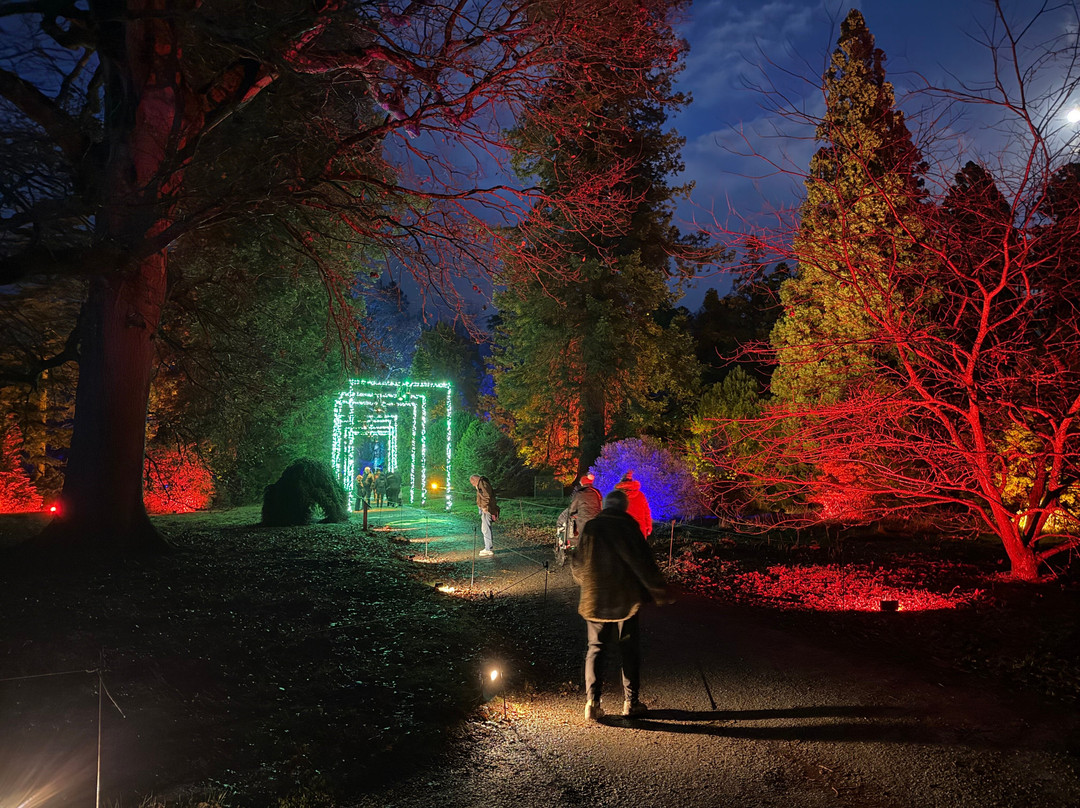 Bedgebury National Pinetum And Forest-Goudhurst必去景点