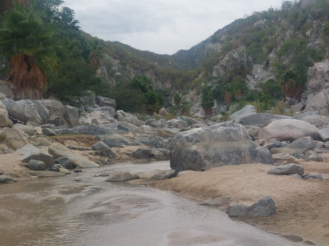 Can-Doo ATV Rentals & Adventures-Los Barriles必去景点