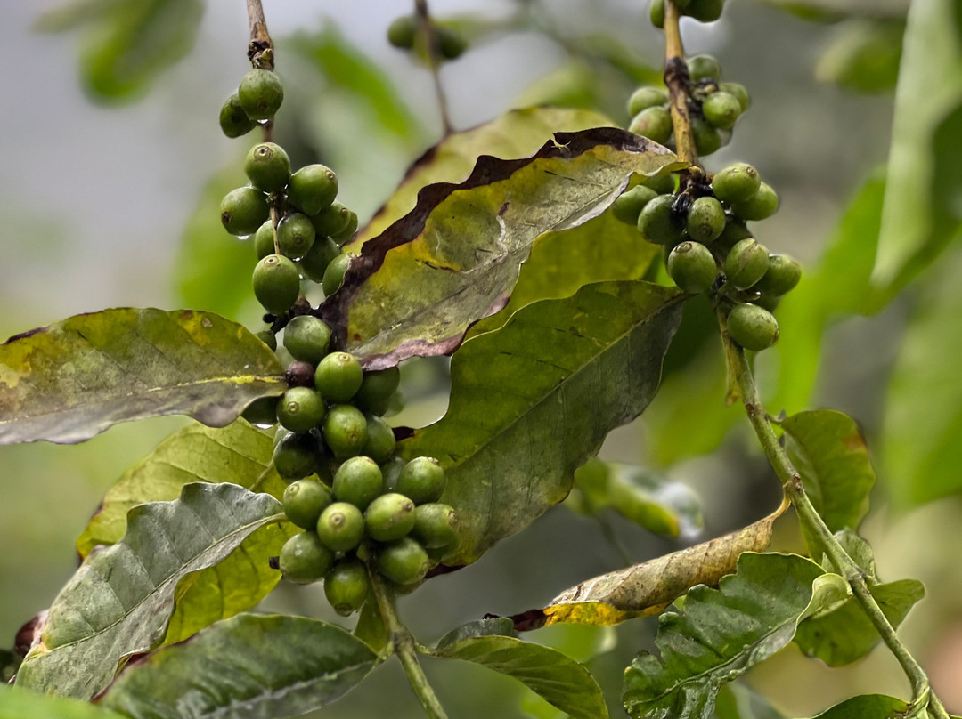 Terra Tours By Daleiden-Porto Novo必去景点