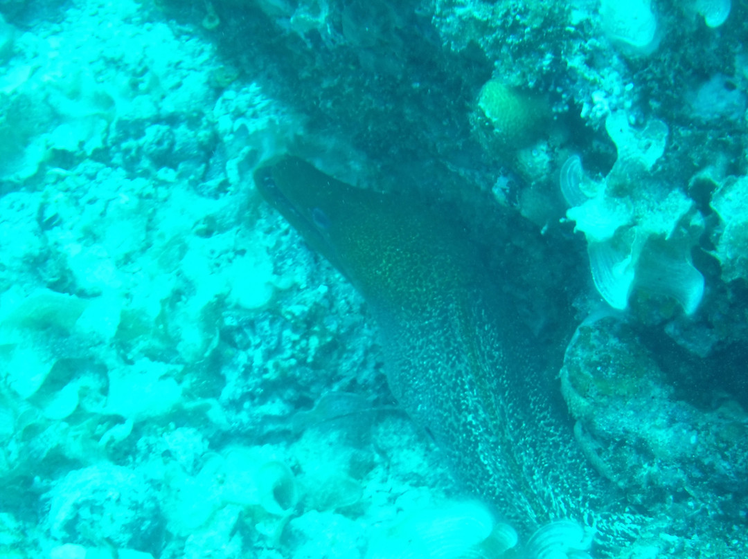 基地潜水中心-Pereybere必去景点