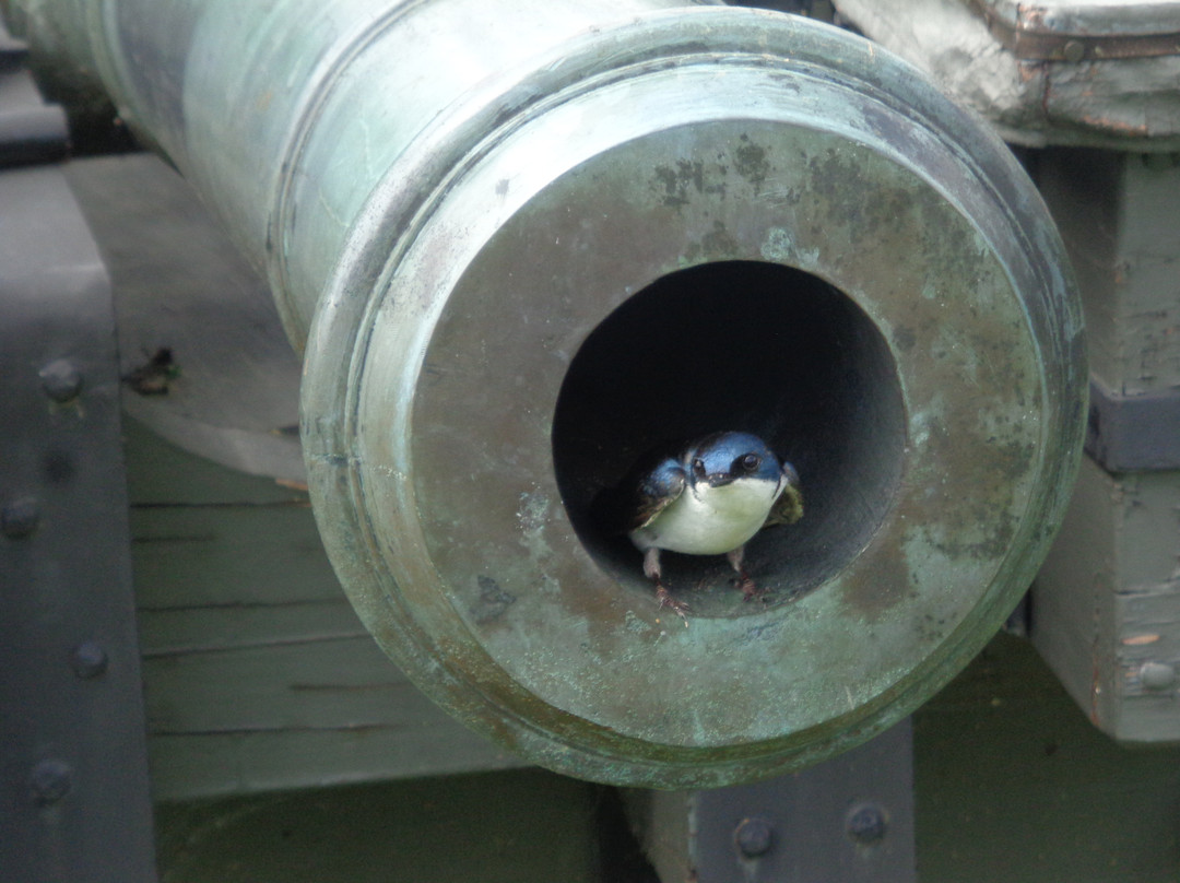 Saratoga National Historical Park-Stillwater必去景点