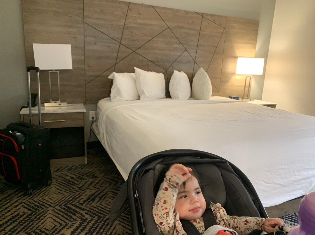 Rodeway Inn & Suites - Outlet Mall Asheville主图