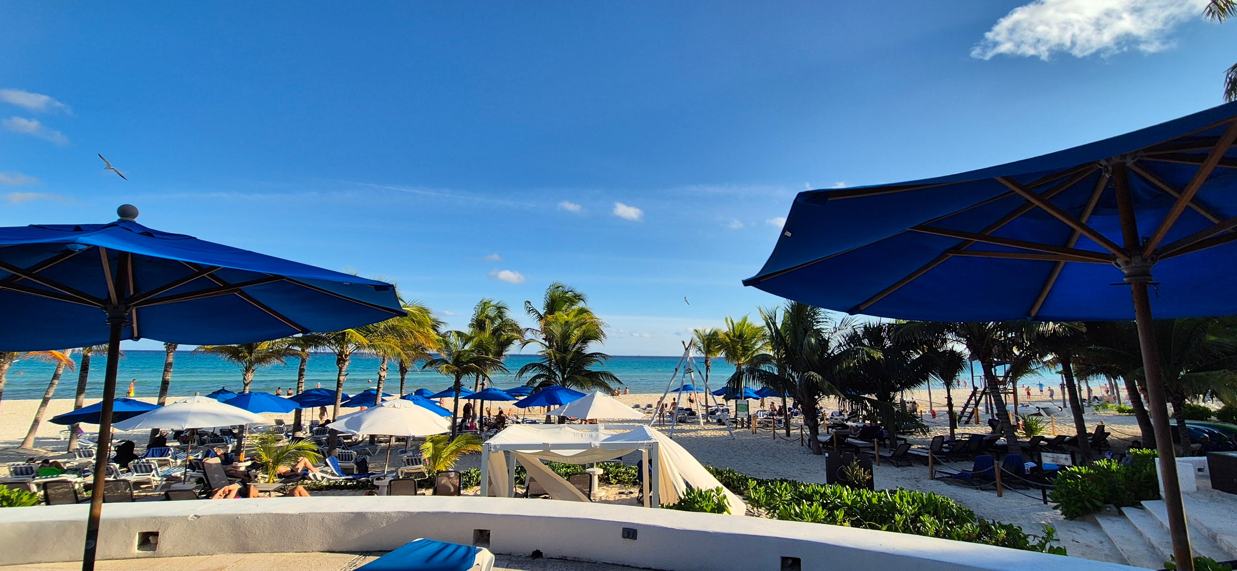 珊瑚礁帕雷卡酒店-泳池