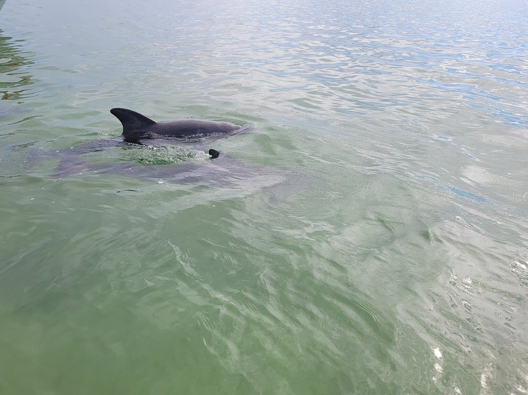 Santi Tour-普拉亚德尔卡曼必去景点