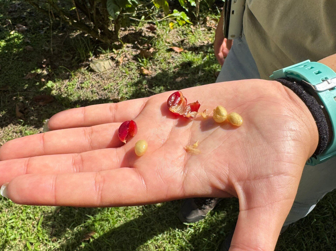 Hacienda Muñoz-San Lorenzo必去景点
