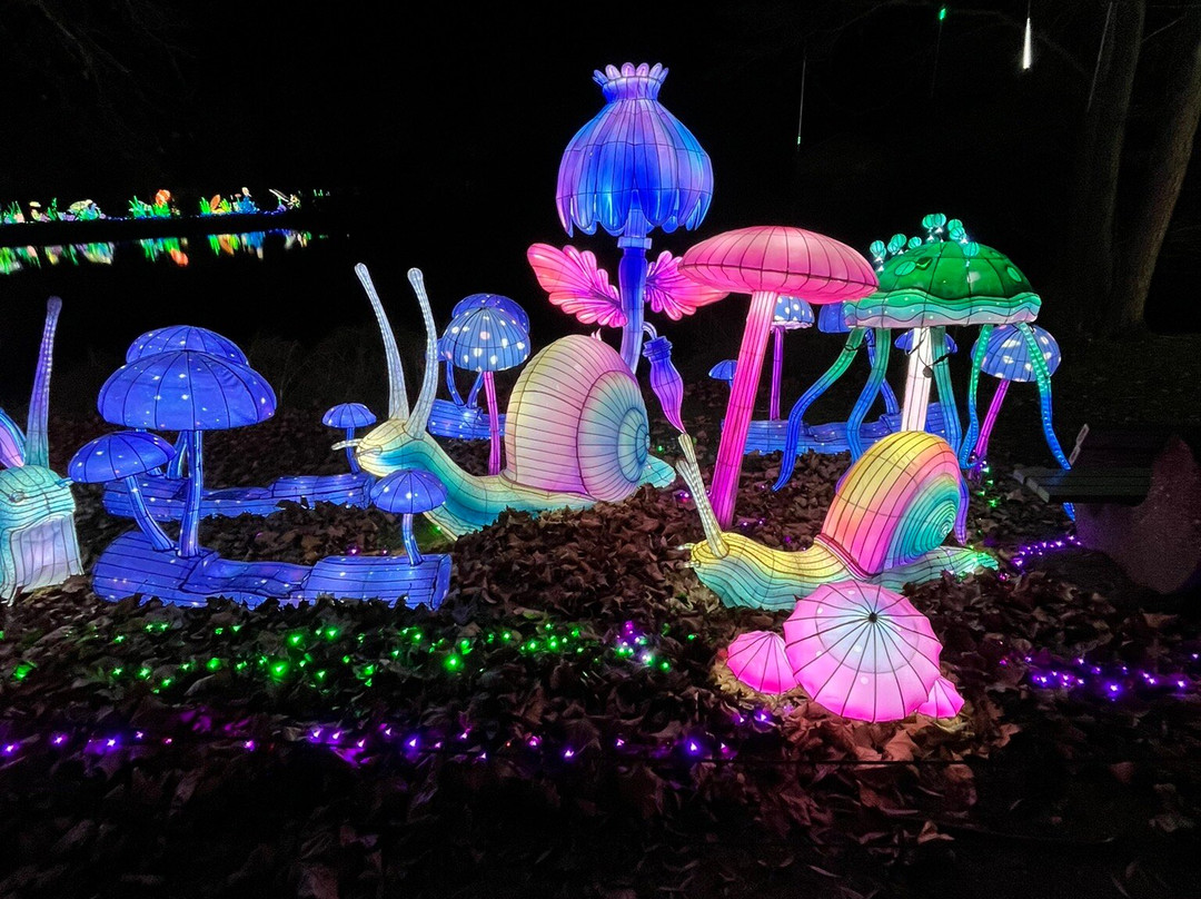 Serengeti-park Hodenhagen-Hodenhagen必去景点