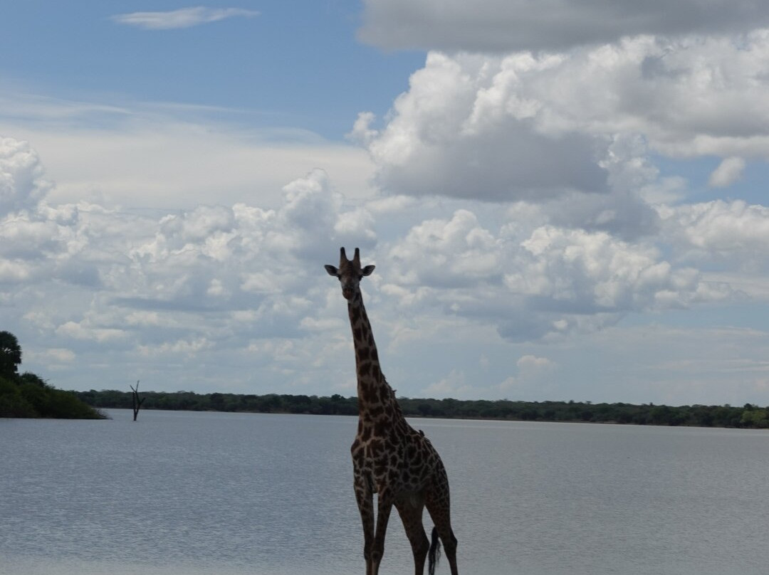 Shammah Wonders Safari Ltd-莫西必去景点