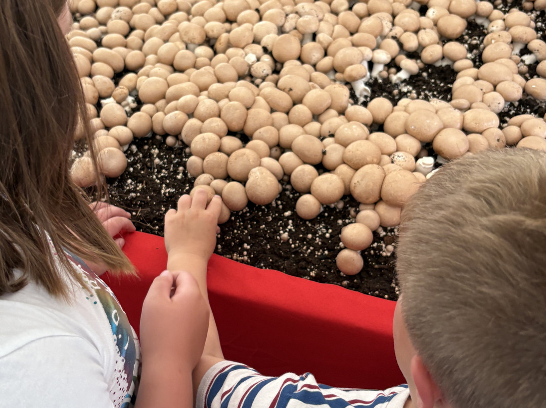 Fairfield Inn & Suites Kennett Square Brandywine Valley主图