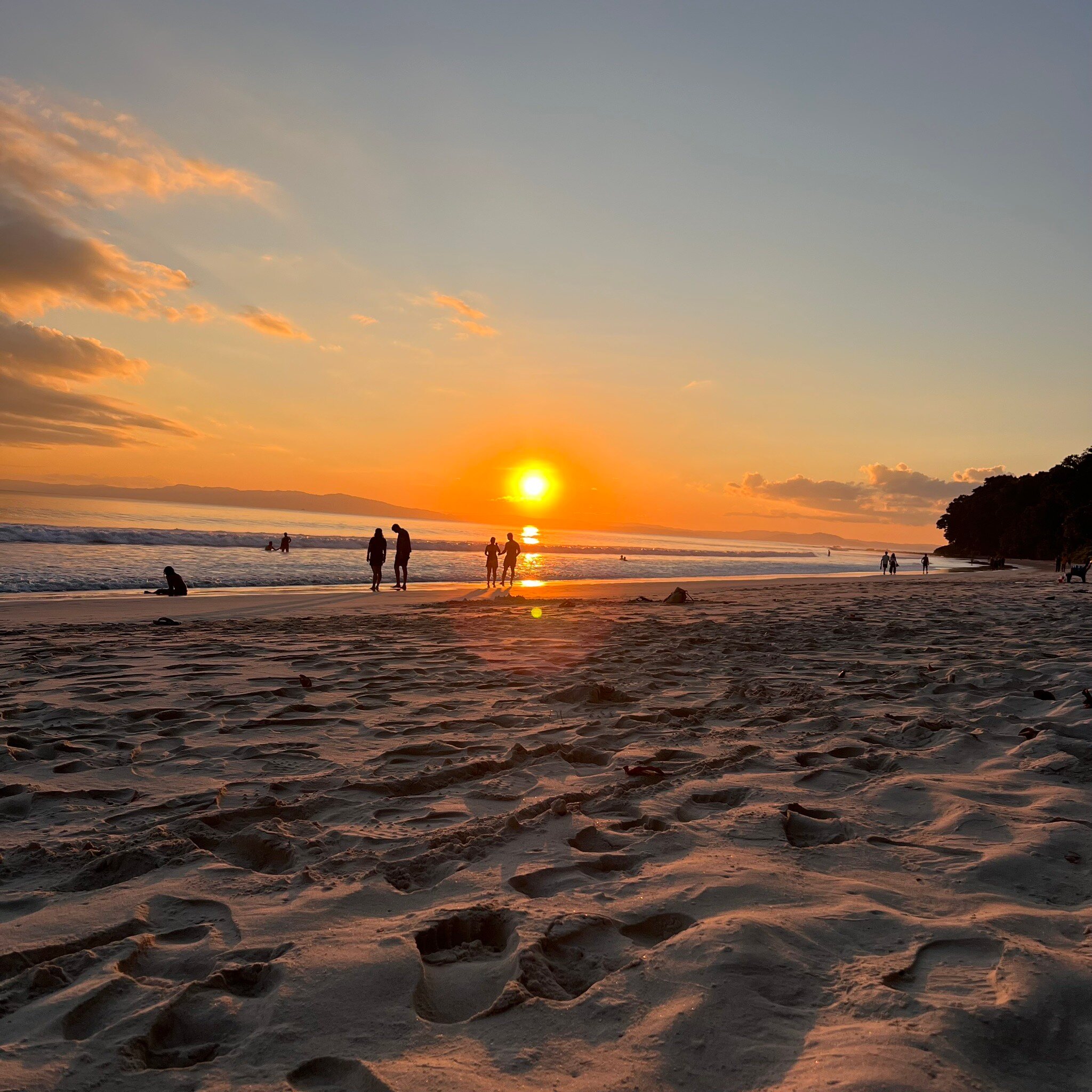 哈夫洛克赤脚酒店-官方