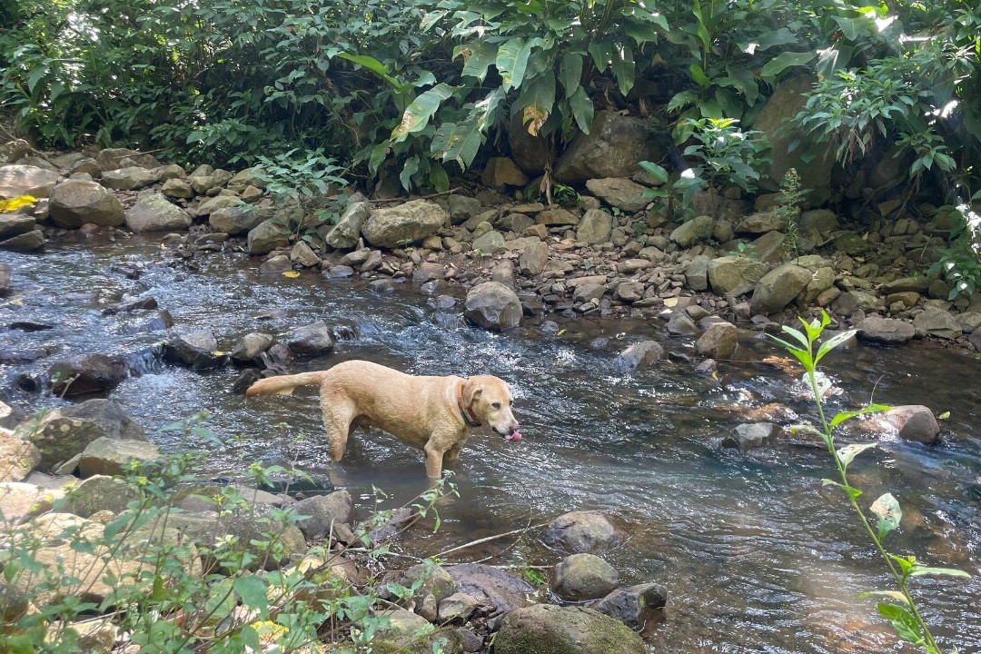 Cachoeira dos Inácios-Praia Grande必去景点