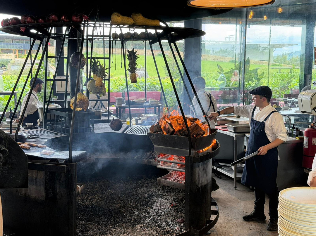 Colchagua Wine Tours-圣克鲁斯必去景点