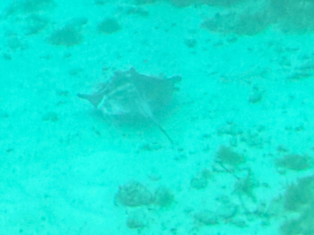 JADS Dive Center-San Nicolas必去景点