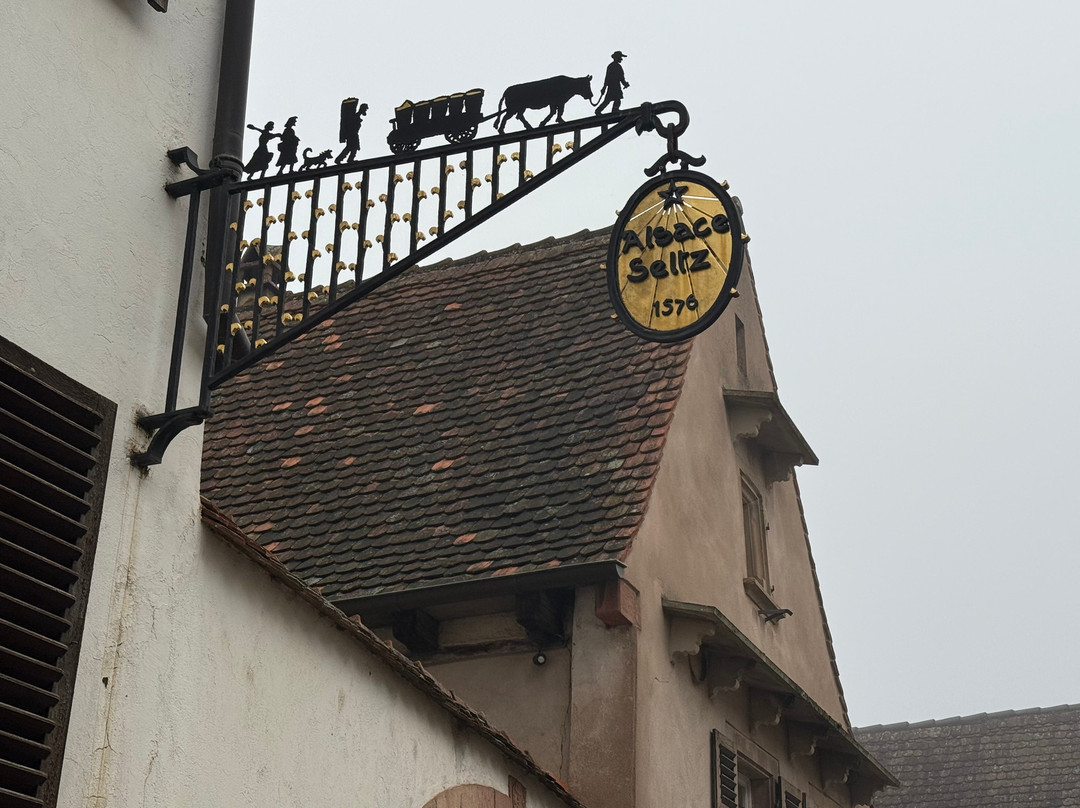 Domaine Albert Seltz-米特贝汉必去景点