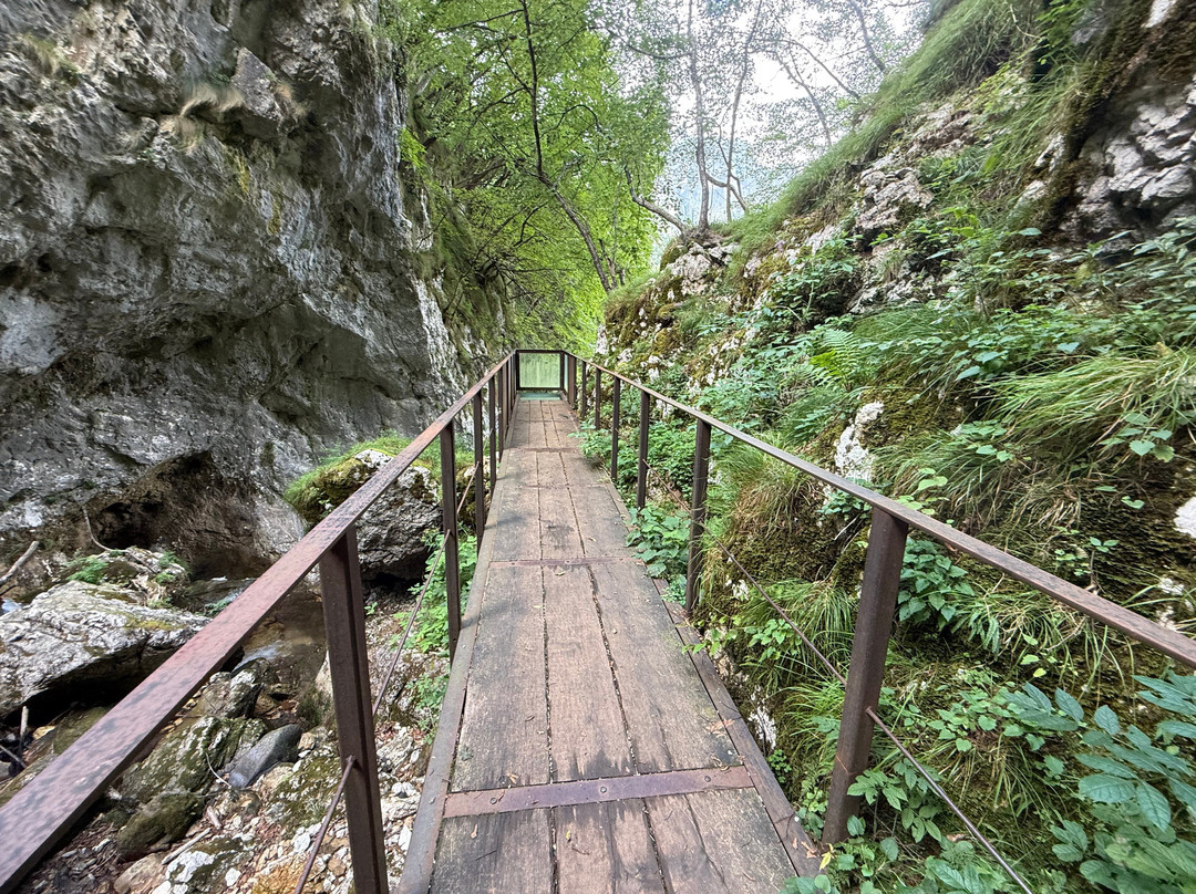 Cascata Di Brazzavalle