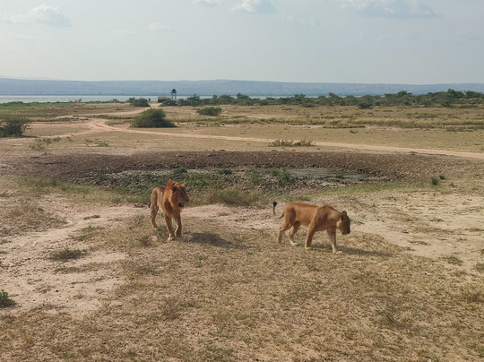Galactic Safaris-卡巴莱必去景点