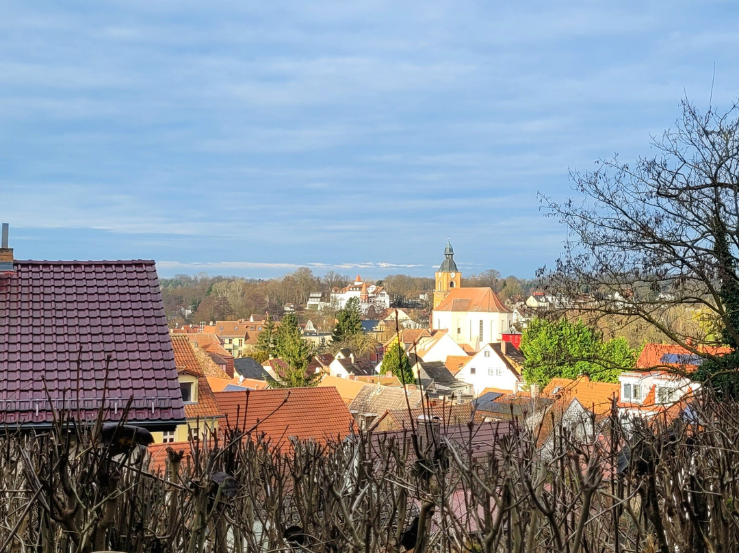 Strandhotel Buckow主图