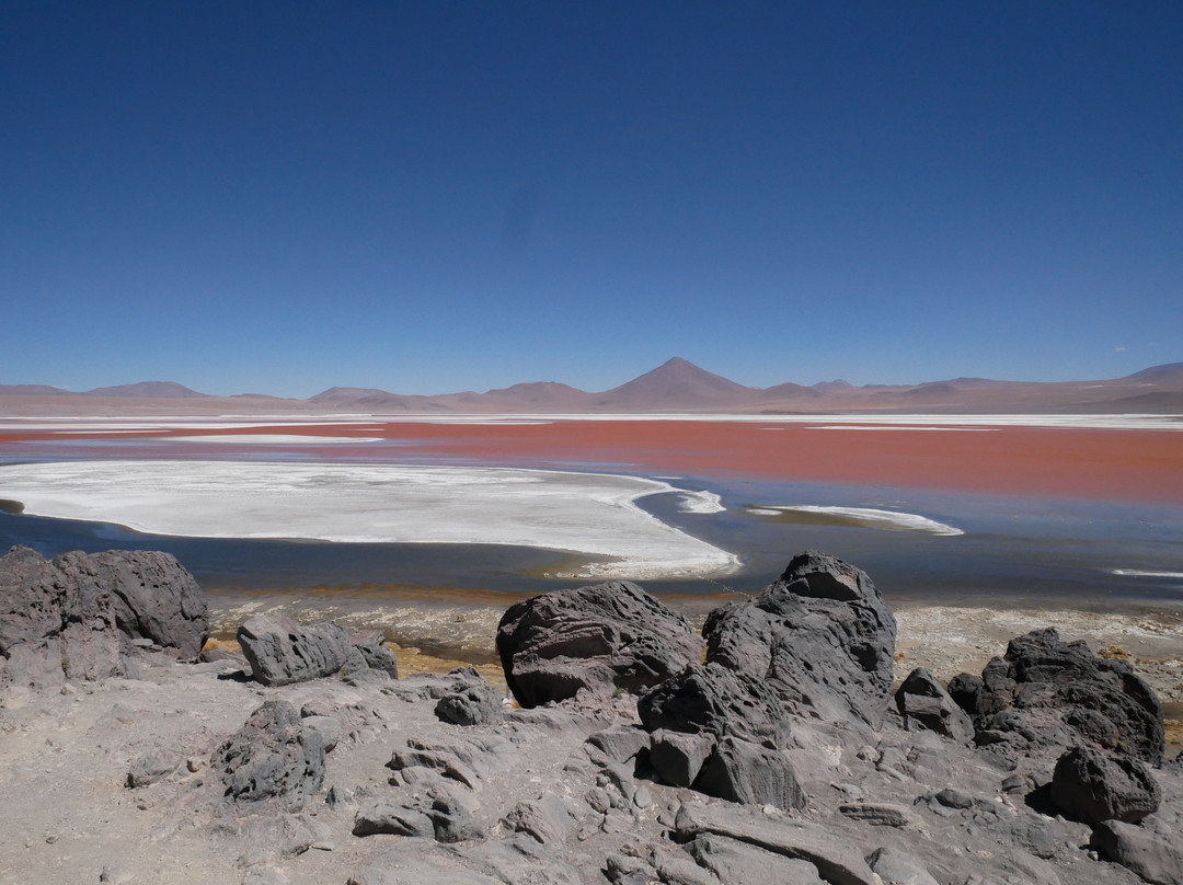 Laguna Colorada-乌尤尼必去景点