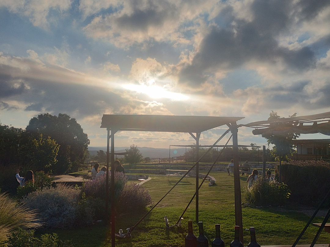 Cordoba Wine Travel-科尔多瓦必去景点