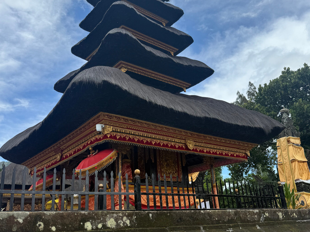 Bli Gojink Bali Professional Bali Driver-新加拉惹必去景点