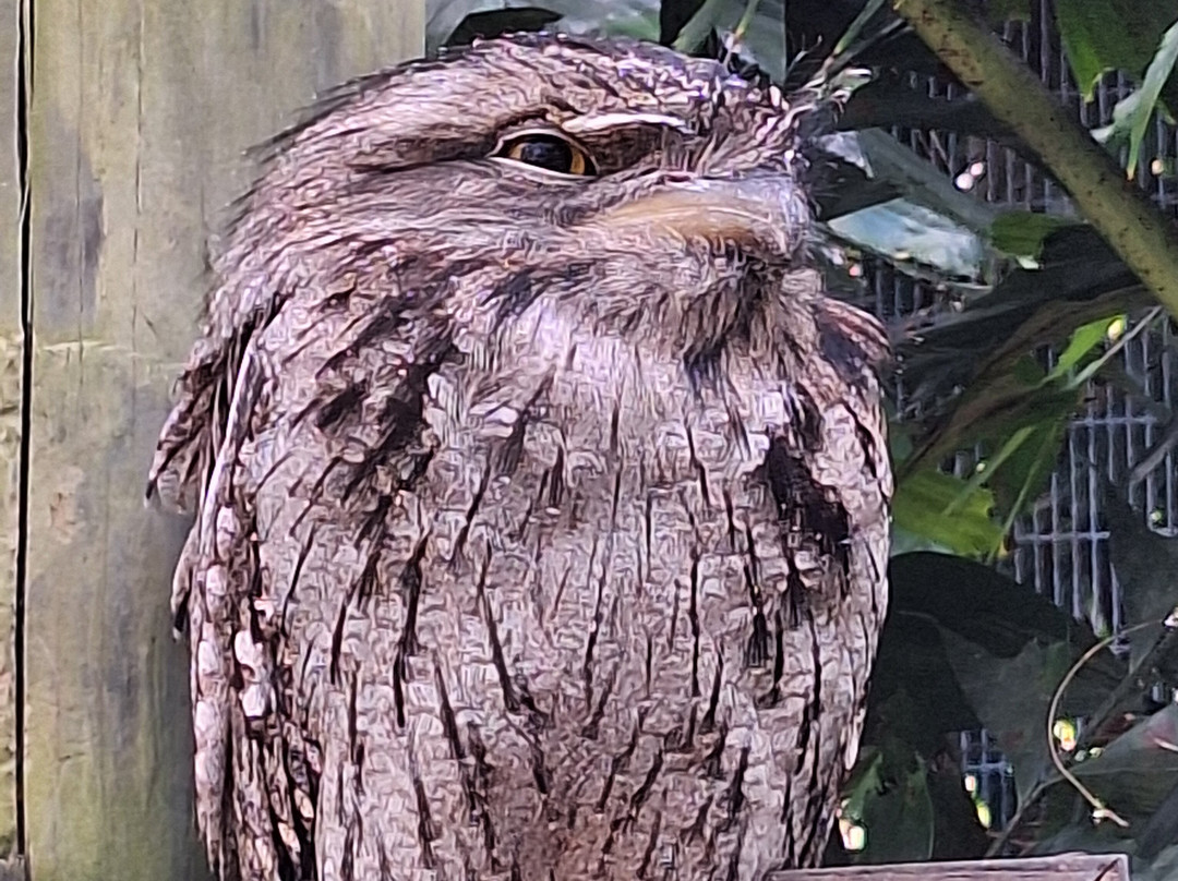 Brevard Zoo-墨尔本必去景点