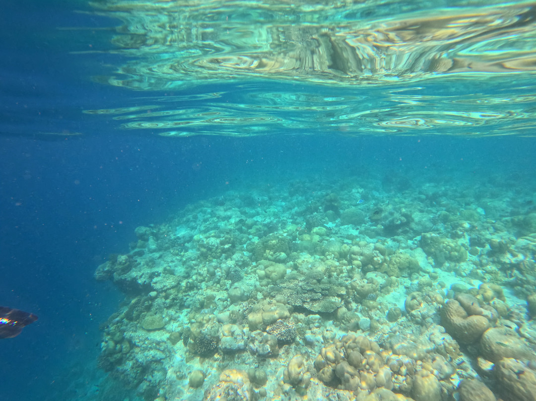 Blue Wave Ifuru By Dive Butler At Ifuru Island Maldives-Ifuru必去景点