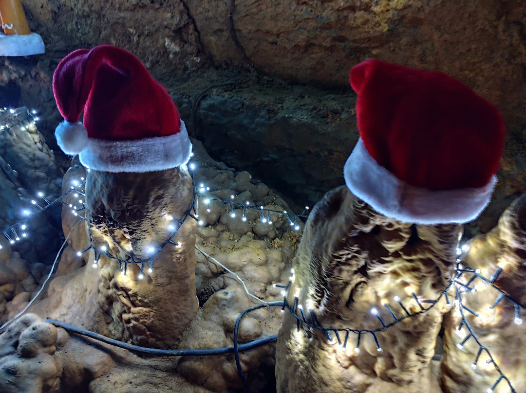 La Grotte de Trabuc-Mialet必去景点