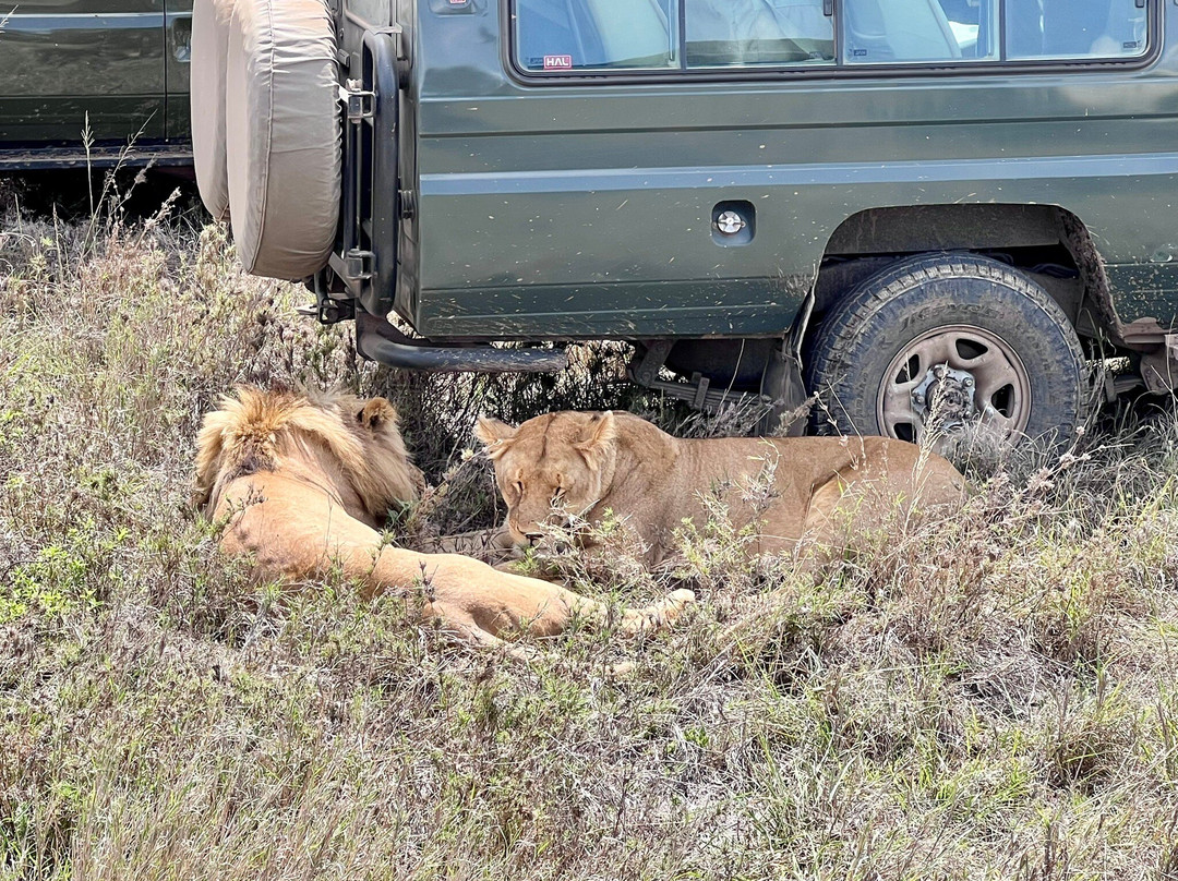 Mwewe Expeditions-阿鲁沙国家公园必去景点