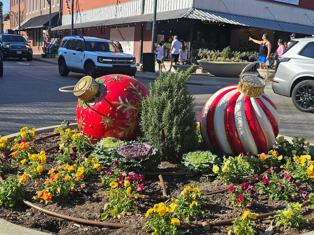 Historic Downtown McKinney-麦金尼必去景点