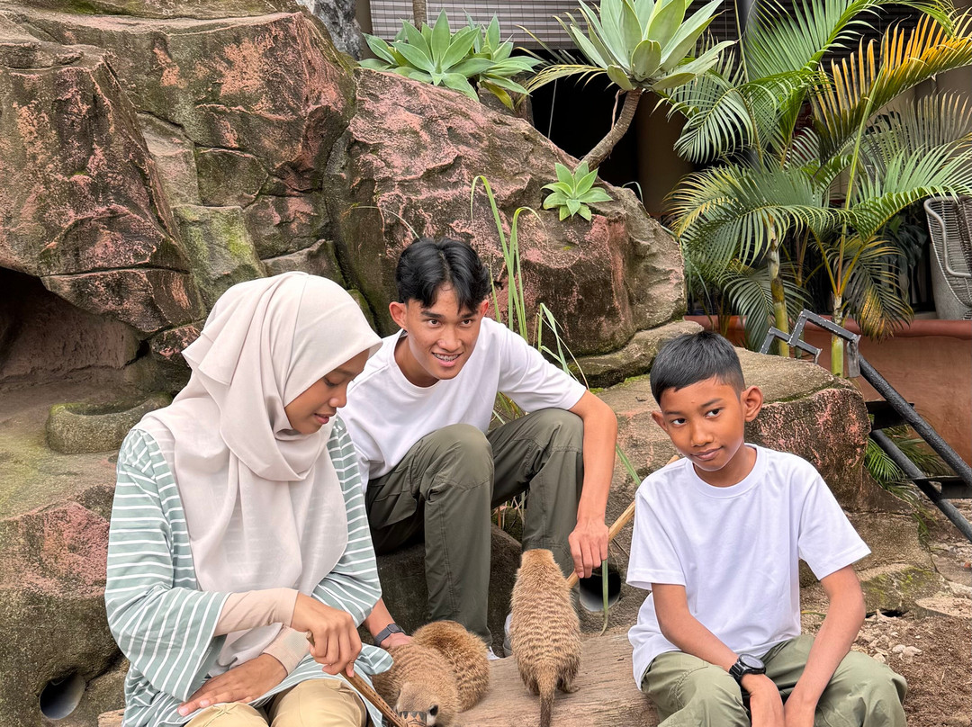 Baobab Safari Resort主图