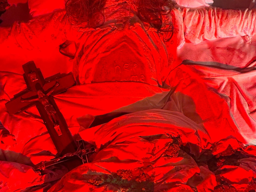 The Museum Of Curiosities-诺丁汉必去景点