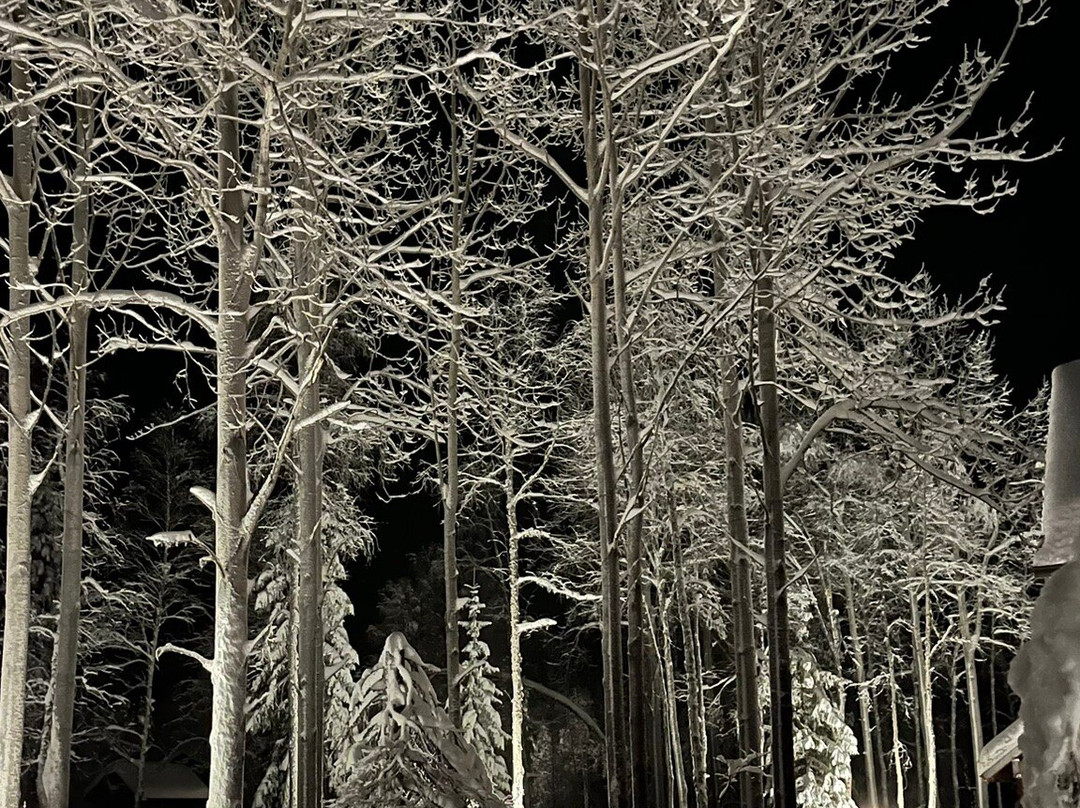 Nivunki Village-Muonio必去景点