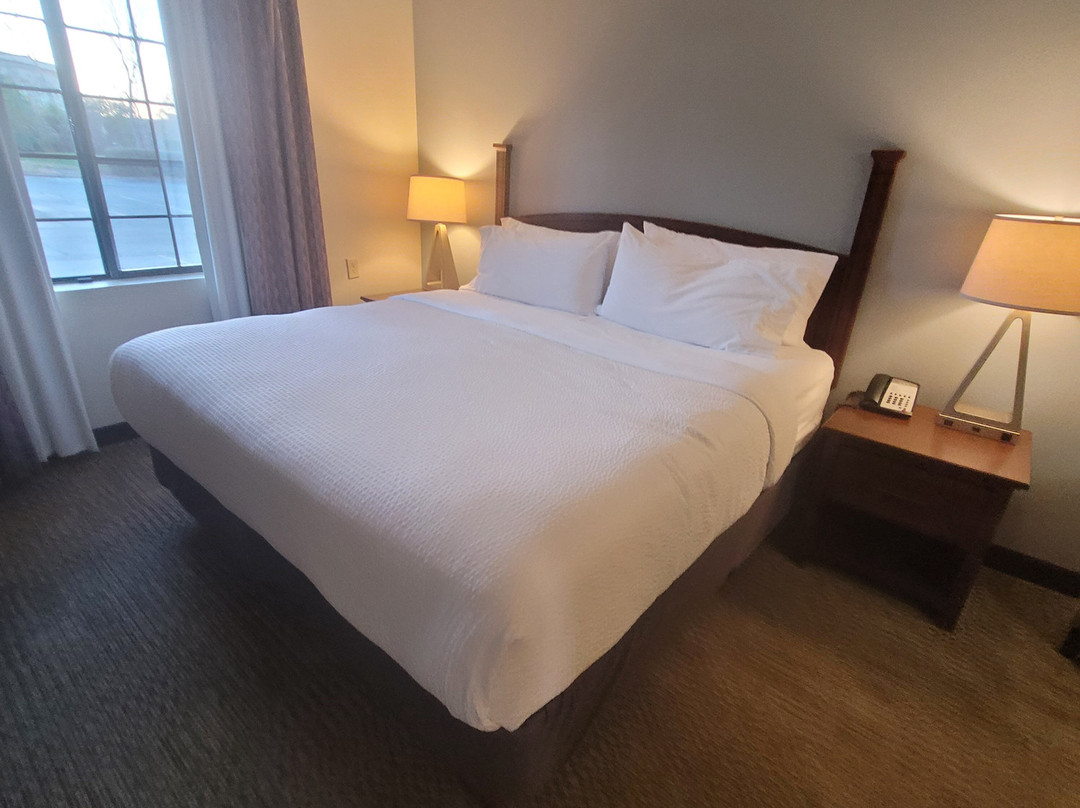 Staybridge Suites Charlotte Ballantyne by IHG主图