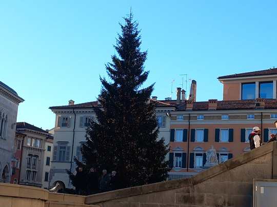 Centro Storico di Udine-乌迪内必去景点