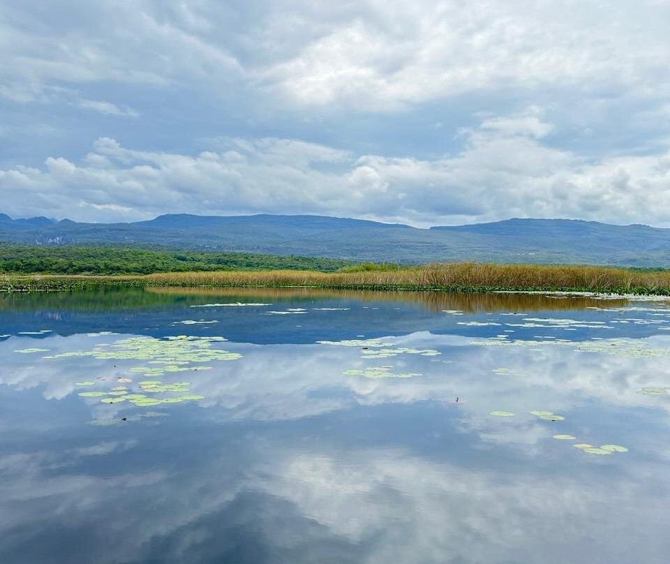 Fazenda Marimbus-迪亚曼蒂那国家公园必去景点