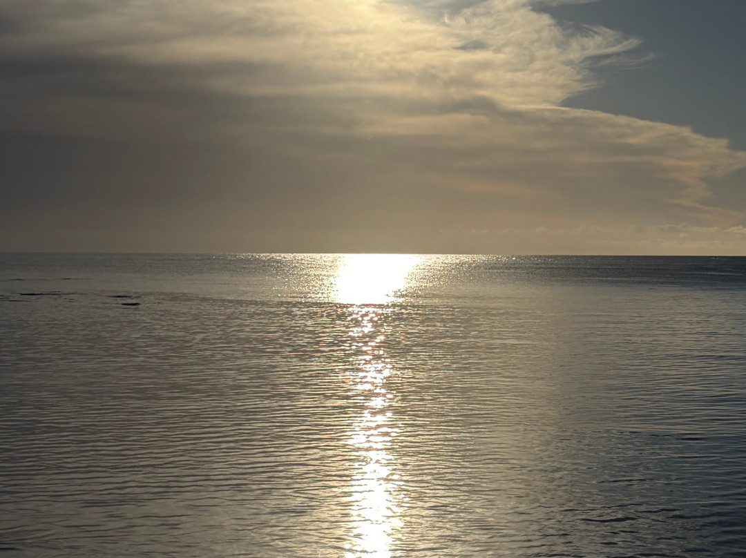 Dive Tatapouri-Gisborne Region必去景点