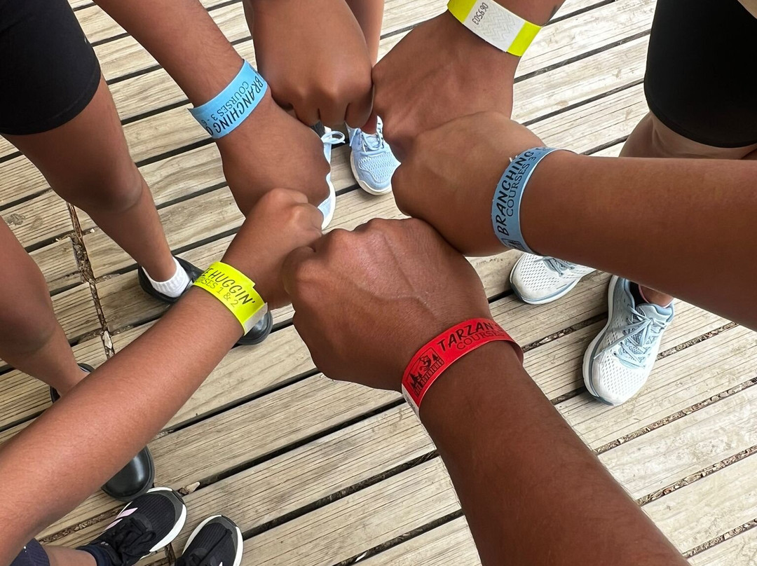 Tree Adventures-伍德山必去景点