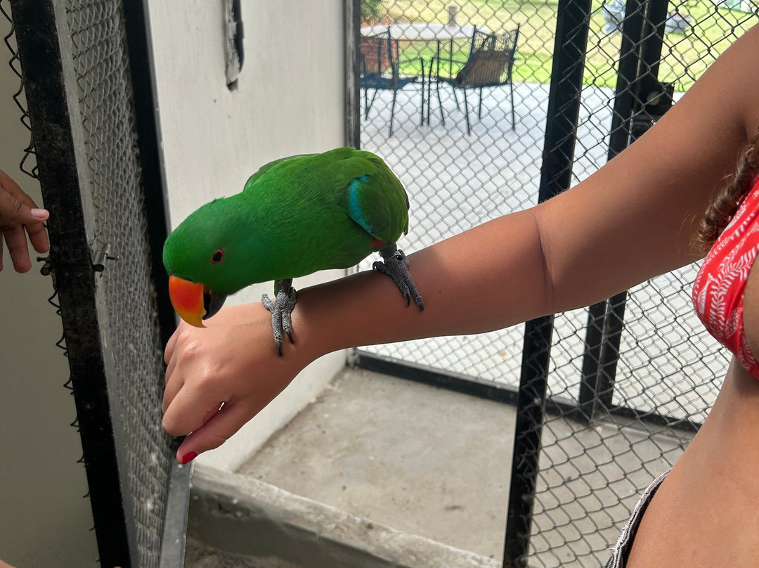 Pousada Eco Luar主图