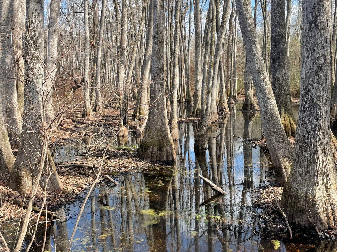 纳切兹小径-图珀洛必去景点