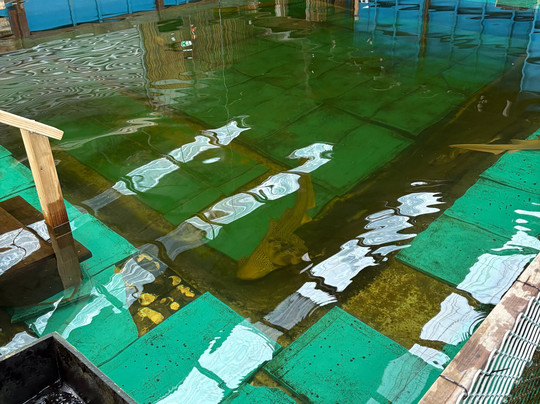 Port Stephens Animal Adventures-Bobs Farm必去景点