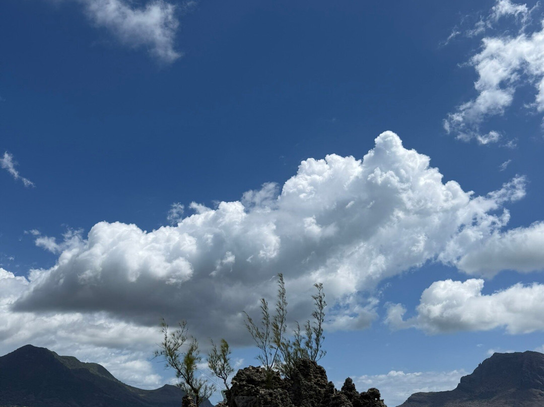 Taxi Mauritius Transfer-博巴森-荷津必去景点