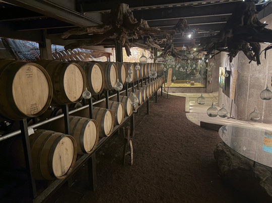 Decantos Vinicola-Valle de Guadalupe必去景点