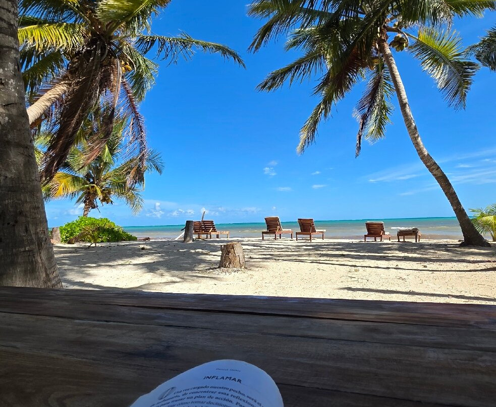 Hotel Cielo y Selva主图