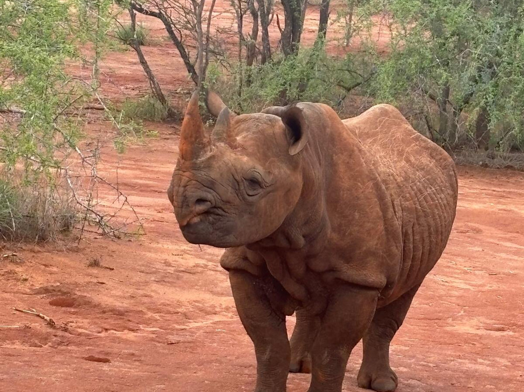 Zara Tanzania Adventures-莫西必去景点