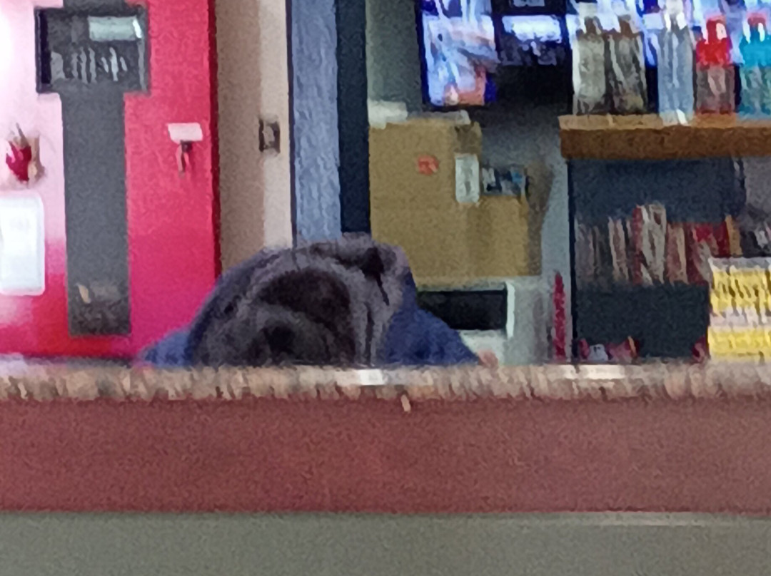 Microtel Inn & Suites主图