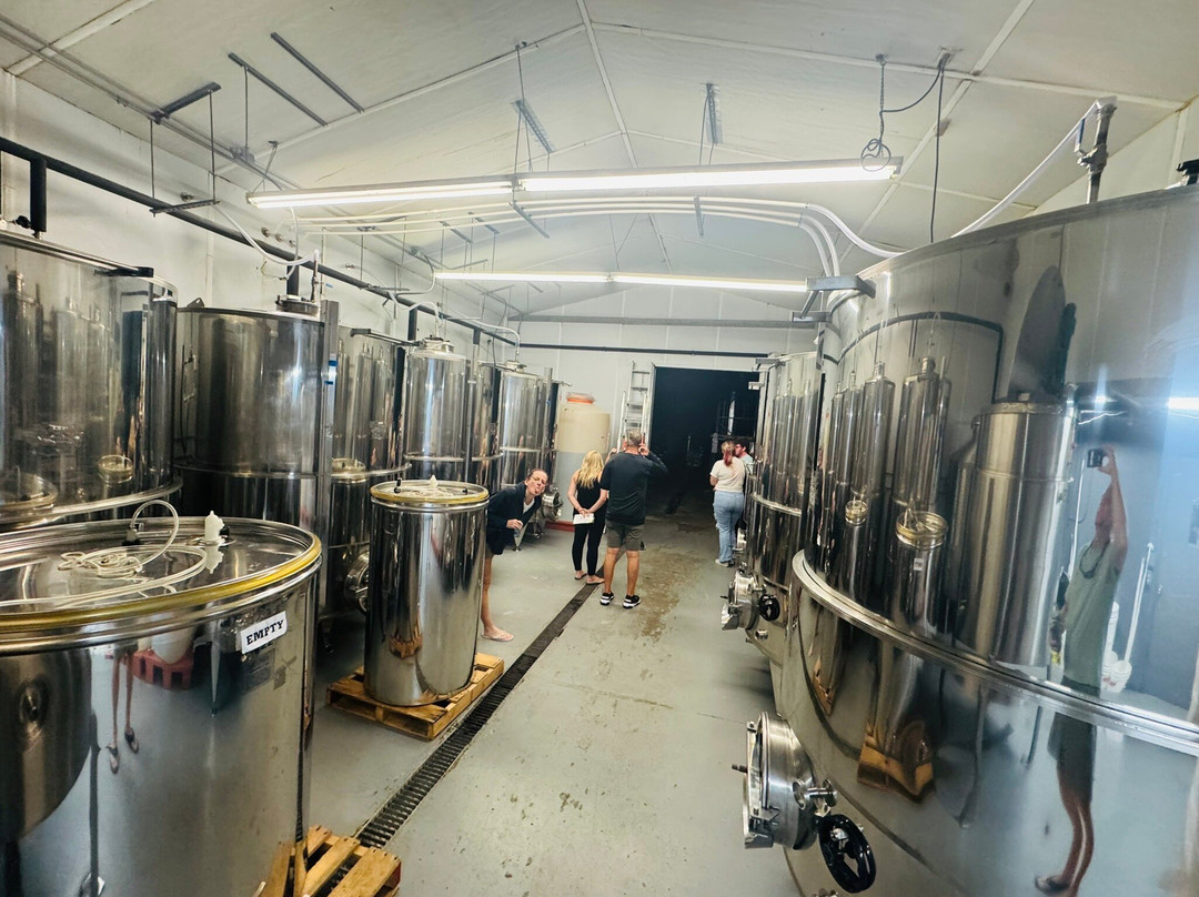 Florida Orange Groves and Winery-圣彼德斯堡必去景点