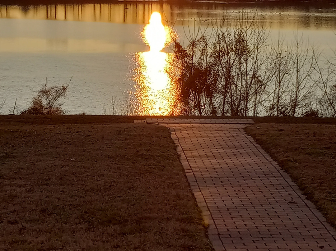 Belle Grove Plantation Bed and Breakfast主图